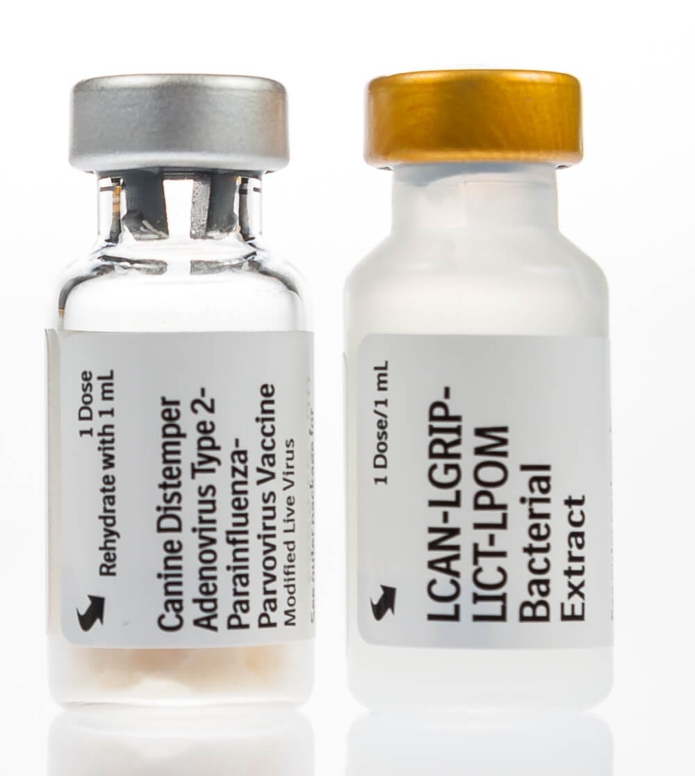 Canine Distemper-ADENOVIRUS